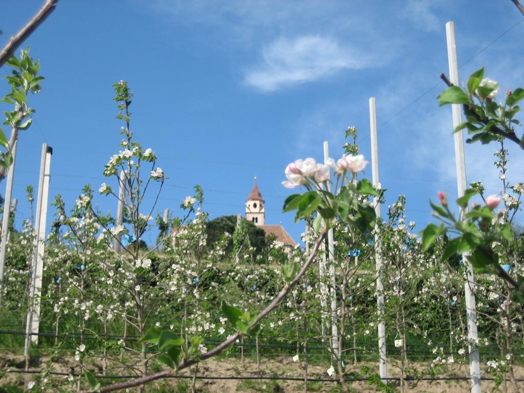 Hotel Haselried Tirolo Luaran gambar